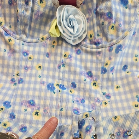 NEW $269 FOR LOVE AND LEMONS BRIGITTA FLORAL GINGHAM DENIM MINI DRESS W/ROSE S - Picture 13 of 13